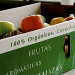 Tallo Verde: Organic Produce Delivery