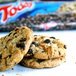 Product of the day: The Toddy Cookie